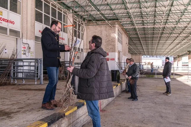 Noticias de Cantabria | El Cántabro | Reparto de los ejemplares de la Campaña 'Planta un árbol. Cuida el planeta'