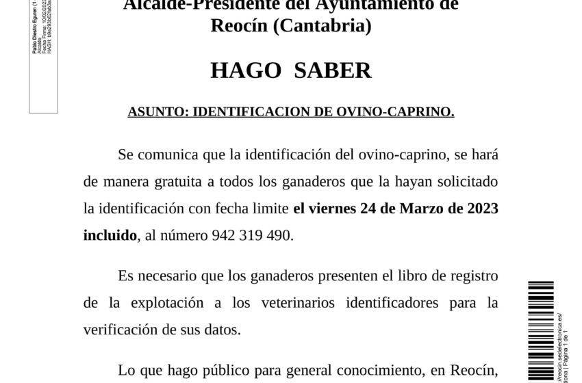 Noticias de Cantabria | El Cántabro | Identificación de ganado ovino y caprino