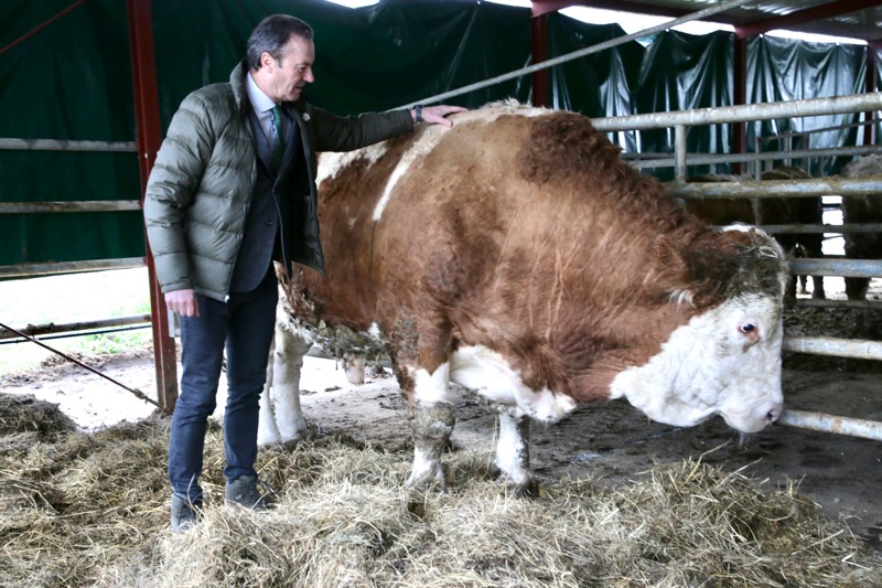 Noticias de Cantabria | El Cántabro | Blanco reivindica la ampliación de seis a diez de las razas con sello de calidad 'Carne de Cantabria' en esta legislatura