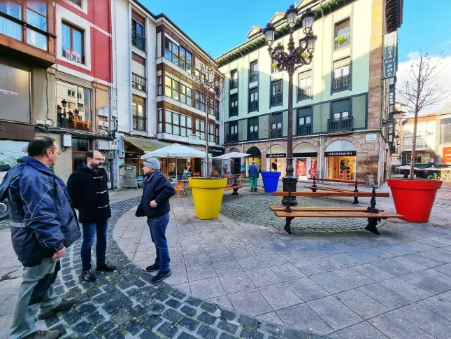 Noticias de Cantabria | El Cántabro | Parques y Jardines dota de arbolado en jardineras a la plaza de Ángel Menéndez en el centro de Torrelavega