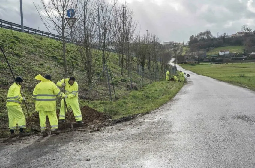  Camargo inicia los trabajos para dotar de iluminación a la carretera que conecta los barrios La Calva y Amedias en Revilla