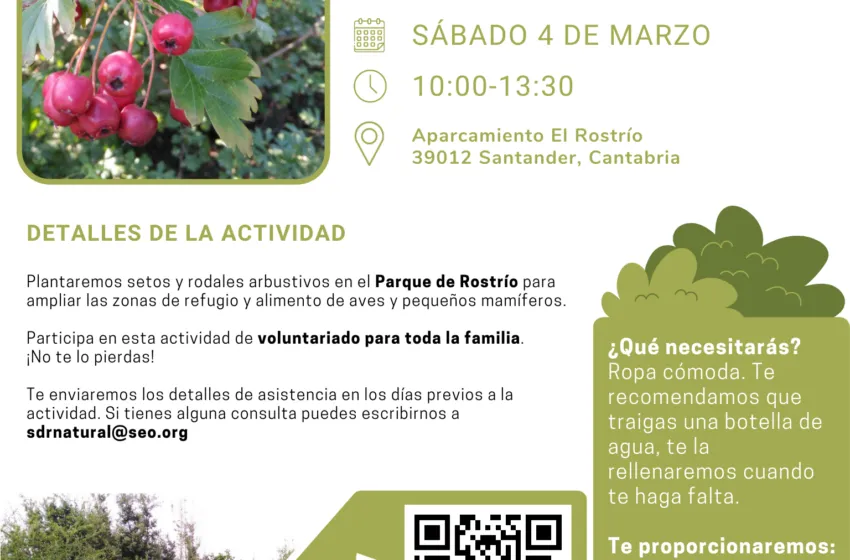  ‘Santander Capital Natural’ retoma sus actividades de voluntariado con una plantación en Rostrío