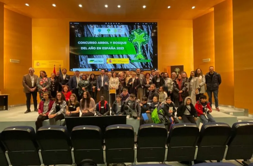  LA ENCINA DE COLINDRES RECIBE EL PREMIO A MEJOR ÁRBOL DE ESPAÑA