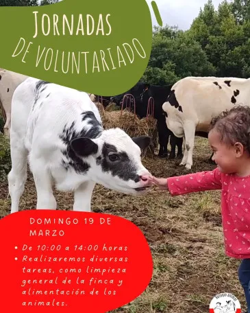  El Refugio animal ‘La manada cántabra’ organizará este domingo una nueva jornada de voluntariado en sus instalaciones en Oruña de Piélagos