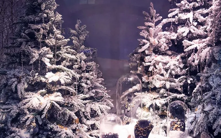 Noticias de Cantabria | El Cántabro | Convocada una nueva edición del Concurso de Escaparates