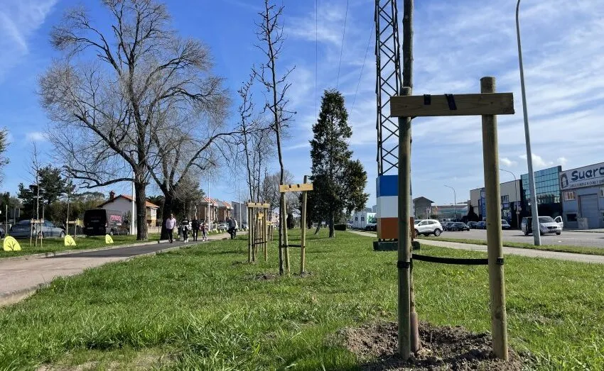  LA INICIATIVA “18.500 NUEVOS ÁRBOLES” ALCANZA SU OBJETIVO