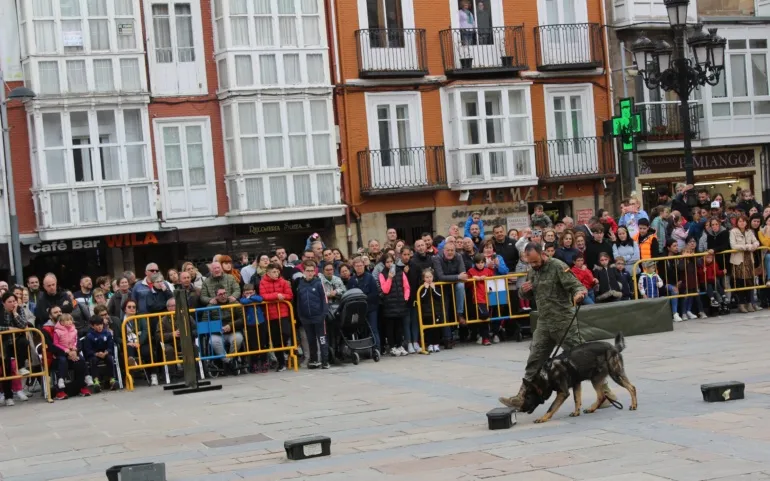  Exito de público en la exhibición de los equipos caninos del Regimiento de Transmisiones 21