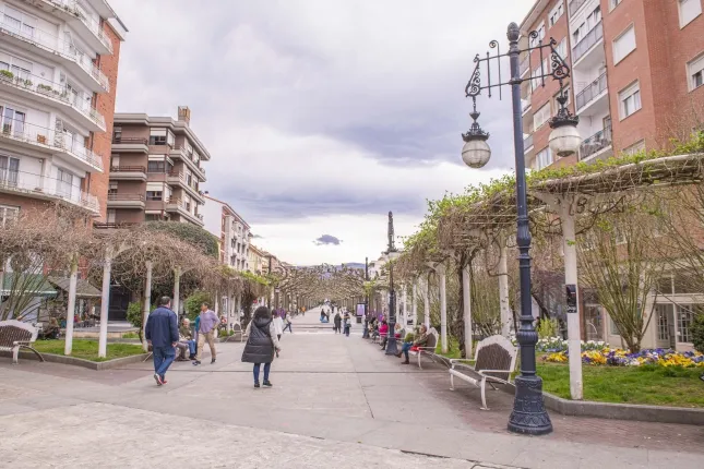  La renovación del alumbrado público en el Bulevar Demetrio Herrero, Pequeñeces y Barón de Peramola comenzará en la segunda quincena de mayo