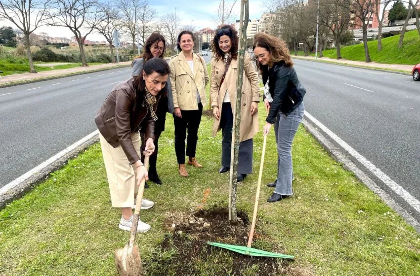  Santander reanuda la plantación de árboles en la S-20 dentro del Plan de Sostenibilidad Turística