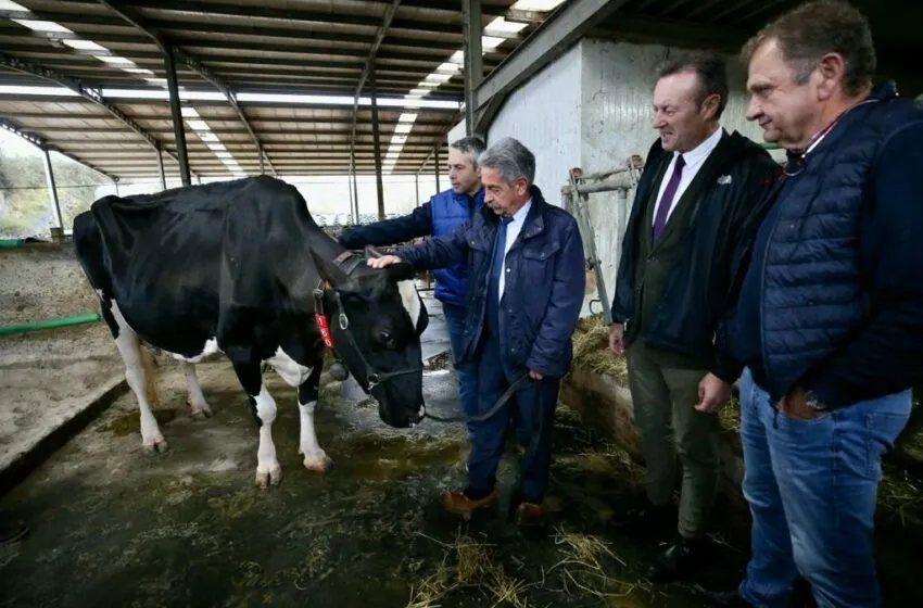  El Gobierno otorgará la Medalla de Plata de Cantabria a la ganadería SAT Ceceño el próximo 17 de marzo