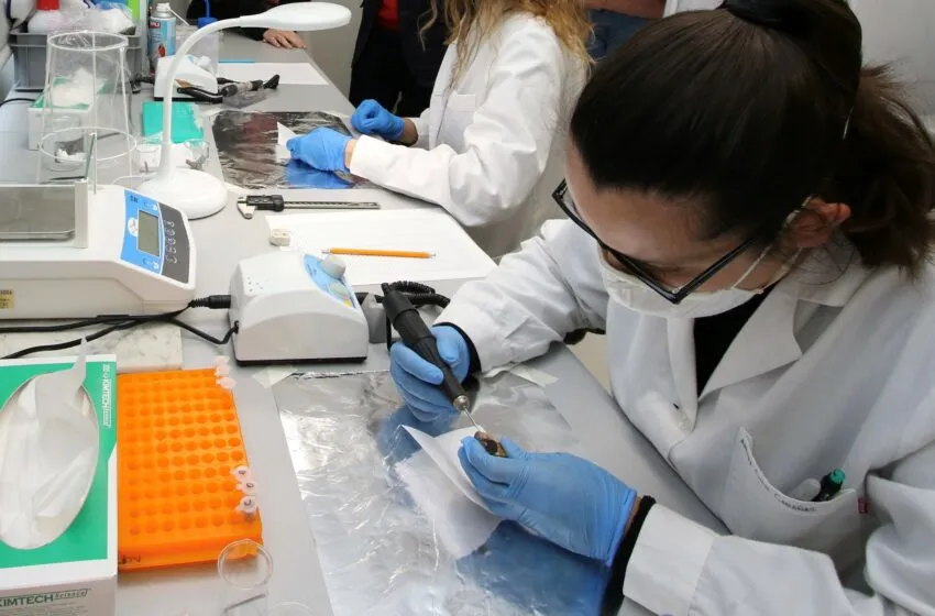  Un proyecto cántabro de investigación sobre el clima del pasado y las adaptaciones de los animales y los humanos recibe financiación del Ministerio de Ciencia