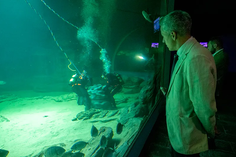  El Museo Marítimo del Cantábrico exhibe dos arrecifes artificiales creados por investigadores de la UC para paliar la pérdida de biodiversidad en el fondo marino