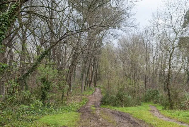  Torrelavega gana el recurso para optar a la subvención de 3,1 millones de euros para el Parque de Las Tablas