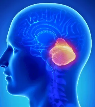  Un análisis de sangre podría detectar y monitorizar un tipo de Ataxia cerebelosa autosómico dominante