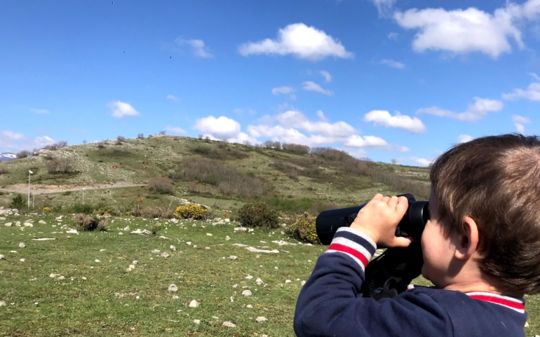  El Ayuntamiento organiza un curso gratuito para niños sobre la fauna de la comarca