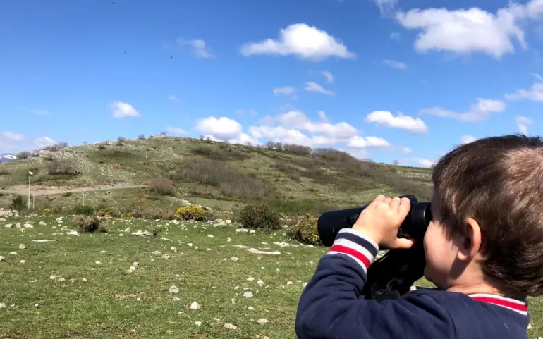Noticias de Cantabria | El Cántabro | El Ayuntamiento organiza un curso gratuito para niños sobre la fauna de la comarca