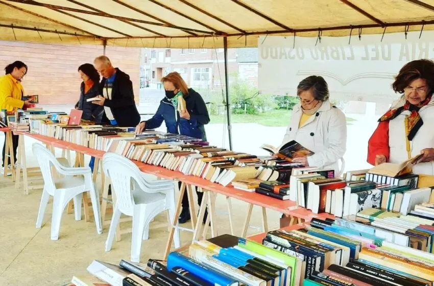  Hoy se celebra la Feria Solidaria del Libro Usado y actuación de Julianini en la Plaza de la Estación de Sarón