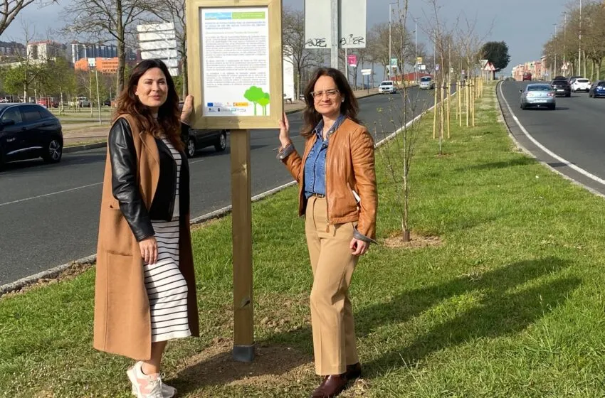  Finaliza la plantación de árboles en la S-20, dentro del Plan de Sostenibilidad Turística