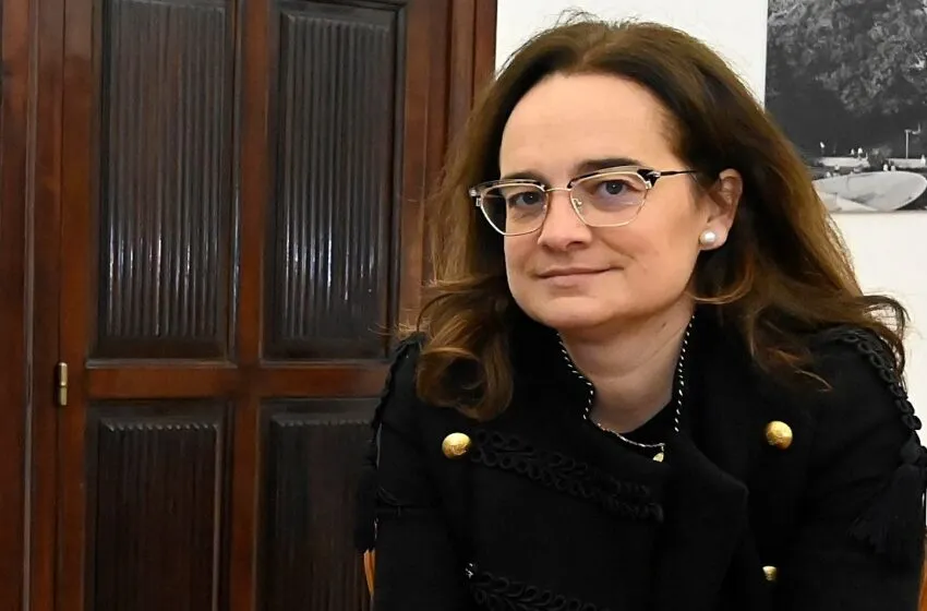 El Ayuntamiento pone en marcha un plan para el tratamiento preventivo del picudo rojo en las palmeras