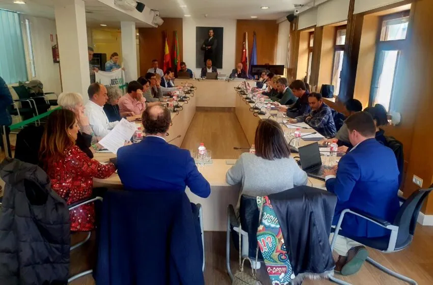 El Pleno aprueba el convenio con Reocín para extender el Torrebus a este municipio