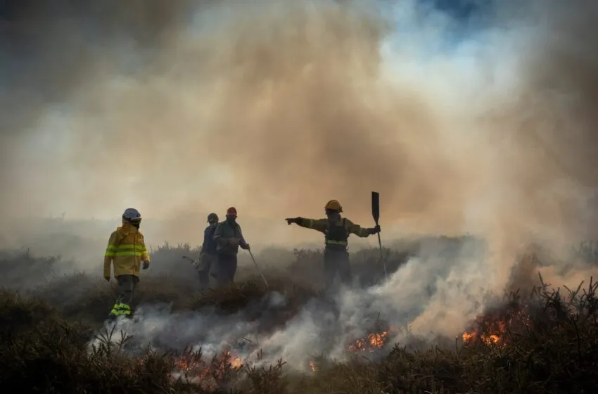  El BOC publica las 70 medidas del Plan Estratégico de Prevención y Lucha contra Incendios Forestales para el periodo 2023-2027
