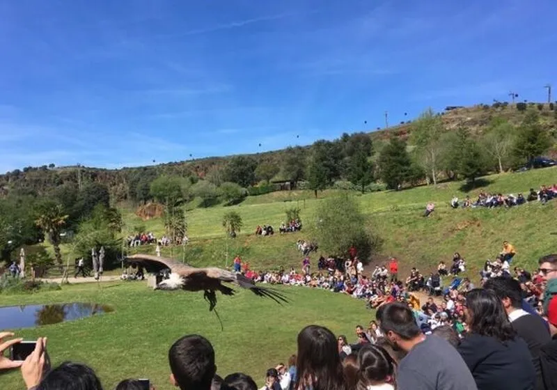  Más de 67.000 personas visitan Cabárceno, Fuente Dé y El Soplao en Semana Santa, récord histórico en Cantabria