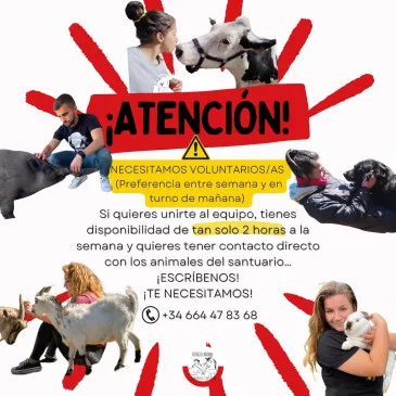El Refugio animal ‘La manada cántabra’ en Oruña de Piélagos busca voluntarios y voluntarias