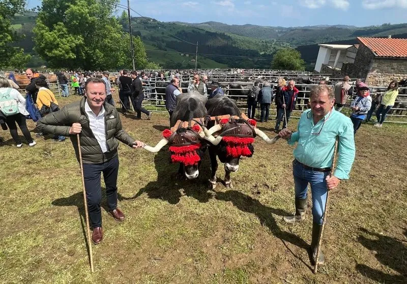  Blanco asiste a la II Feria de las Flores de San Vicente del Monte en Valdáliga, que reúne a 760 reses de 30 ganaderías
