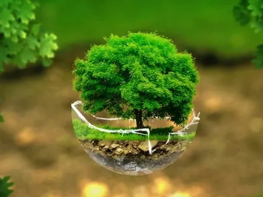  Los DCP centran su próxima cita en la sostenibilidad en los rodajes por el Día Mundial del Medioambiente