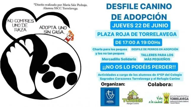 Noticias de Cantabria | El Cántabro | Jornada de adopción canina este jueves en la Plaza Baldomero Iglesias