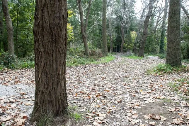 Noticias de Cantabria | El Cántabro | La Fundación Biodiversidad concede 2 millones de euros al proyecto “Torrelavega Conexión Natural”