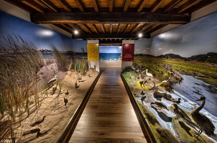  El Museo de la Naturaleza organiza ‘El Instante de la Creación’ que acerca a los visitantes a la naturaleza y la ciencia a través del arte