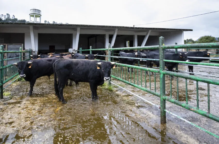  El Gobierno convoca ayudas a inversiones en energías renovables para edificaciones agrarias en zonas rurales