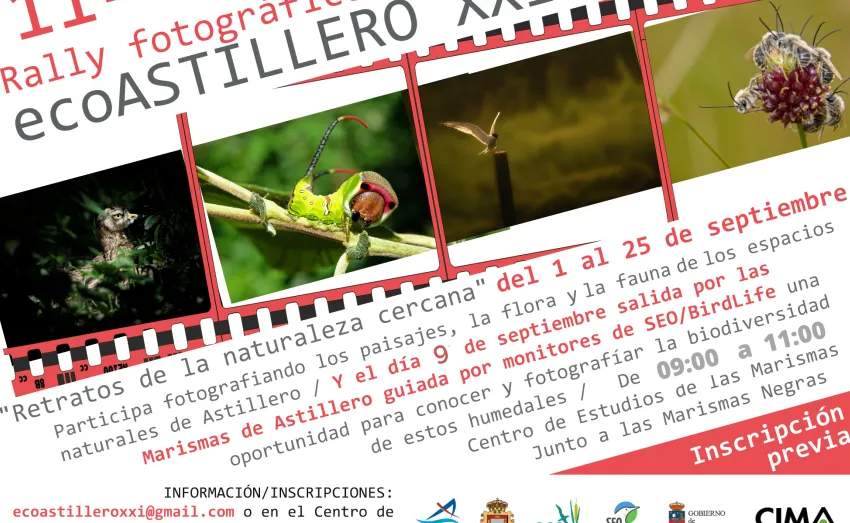  EL AYUNTAMIENTO DE ASTILLERO Y SEO/BIRDLIFE LANZAN LA 11ª EDICIÓN DEL RALLY FOTOGRÁFICO ECOASTILLERO XXI