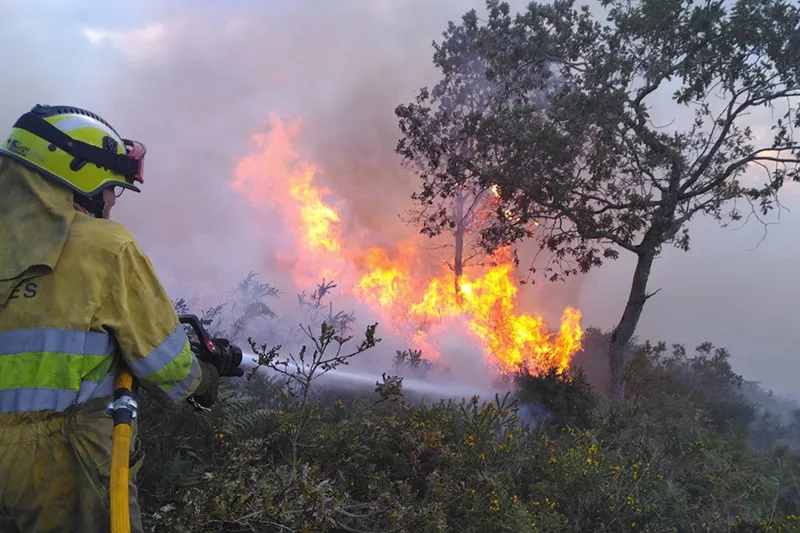 El Gobierno activa el nivel 2 de alerta por riesgo de incendios forestales en las comarcas de Campoo-Los Valles