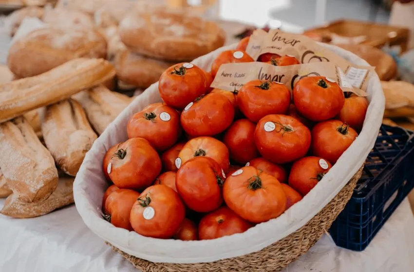  La V Feria Nacional del Tomate Antiguo de Santa Cruz de Bezana tendrá lugar los días 9 y 10 de septiembre