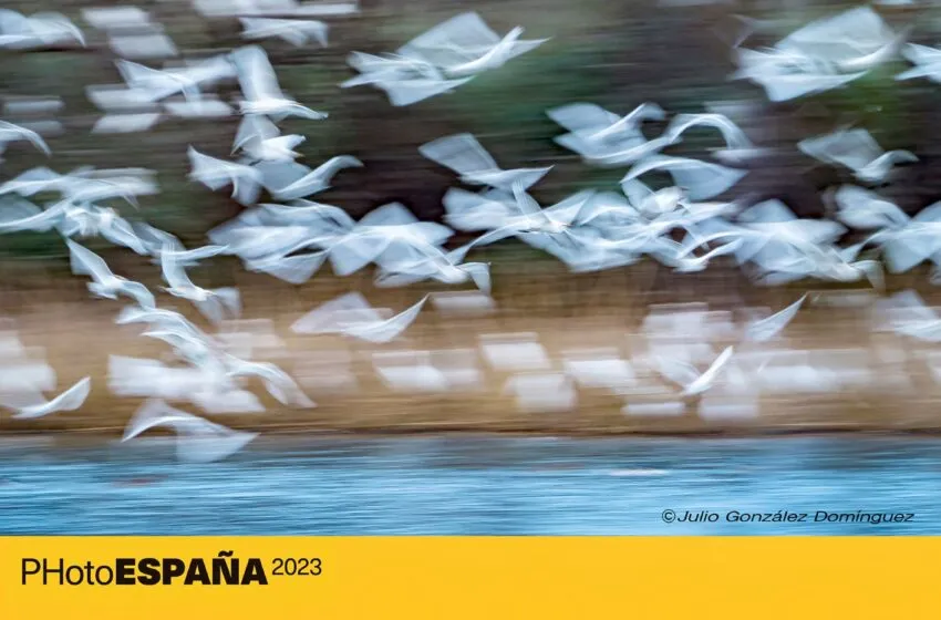 El Centro Doctor Madrazo acoge la exposición ‘Paisaje, gesto y postura’