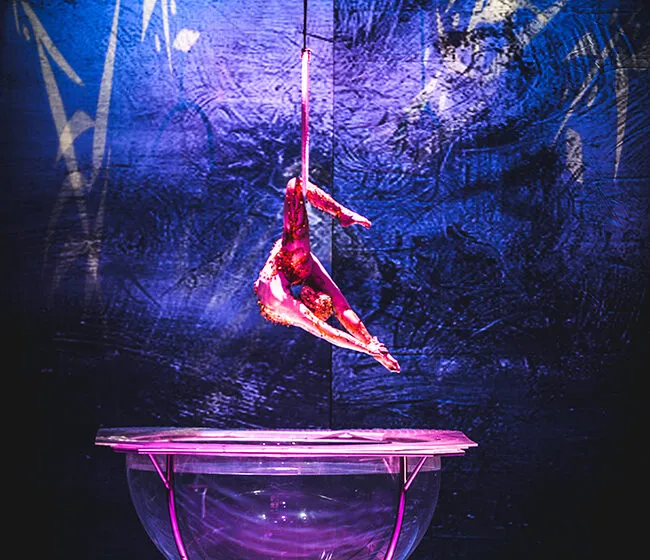  El Gran Circo Acrobático de China llega la próxima semana a la Argenta con un espectáculo de más de 30 artistas en escena