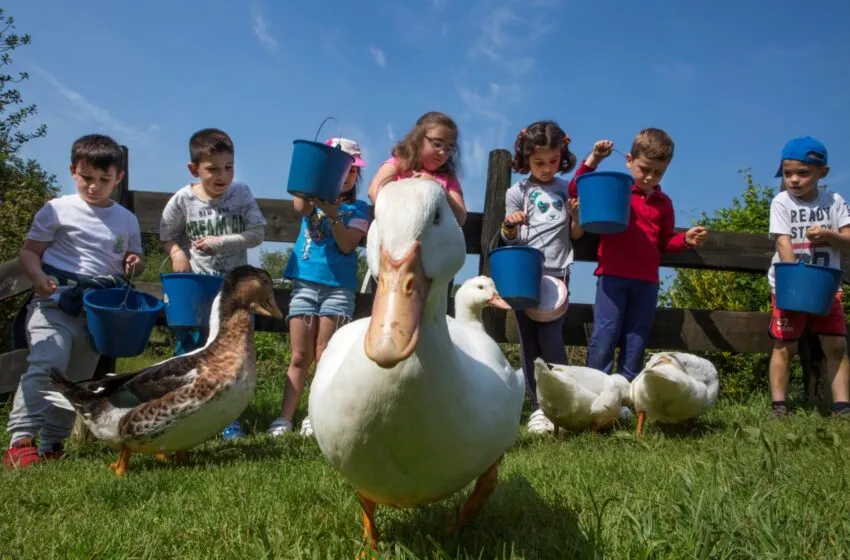 Camargo abre el próximo martes la inscripción para las actividades de otoño de la Granja Escuela