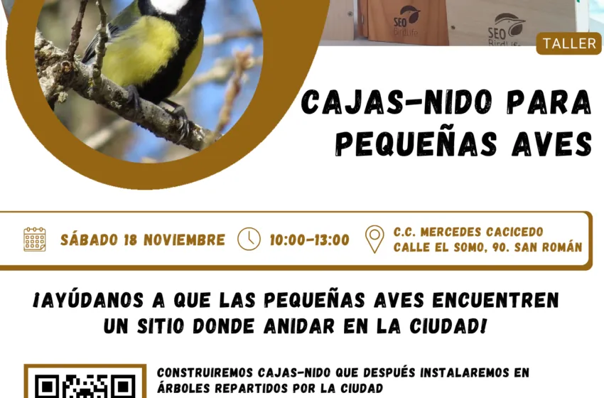 Noticias de Cantabria | El Cántabro | El Ayuntamiento retoma las plantaciones y los talleres del proyecto ‘Santander Capital Natural’