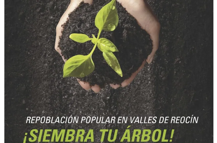 Noticias de Cantabria | El Cántabro | El Ayuntamiento de Reocín se une a Bridgestone para realizar una nueva repoblación popular