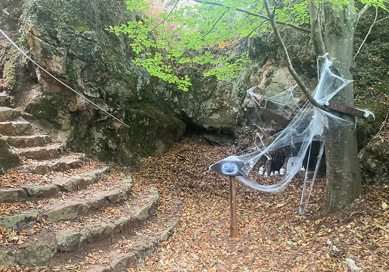  El Parque de la Naturaleza de Cabárceno celebrará Samuín con enigmas y magia