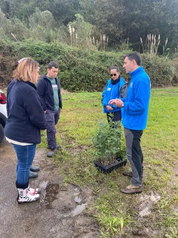 Noticias de Cantabria | El Cántabro | Voluntarios de la empresa Bureau Veritas participan en Arce en una reforestación de especies autóctonas