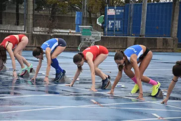 Noticias de Cantabria | El Cántabro | 28 alumnos de la Escuela municipal de atletismo de Piélagos participaron en la XLI edición del Trofeo Olimpia – XIV Memorial Antonio López Cortés