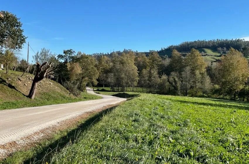 Noticias de Cantabria | El Cántabro | Mejora del vial de acceso al Barrio del Condado