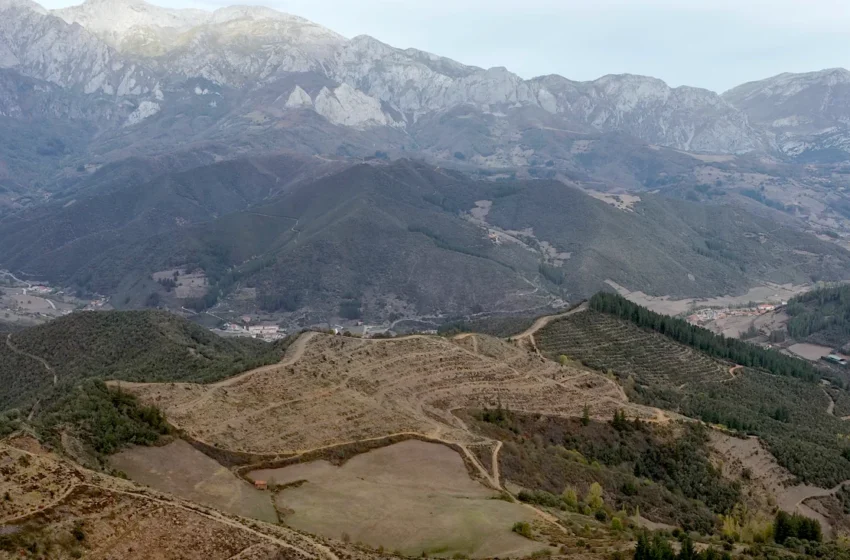  Land Life plantará más de 27.000 árboles autóctonos en Liébana
