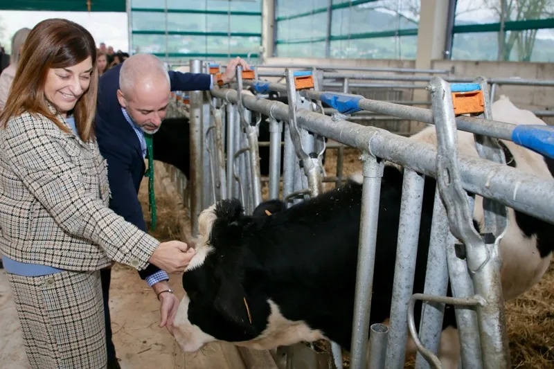 Noticias de Cantabria | El Cántabro | Buruaga anuncia la próxima licitación de un nuevo establo para ganado equino en el CIFP La Granja de Heras con un presupuesto de 113.000 euros