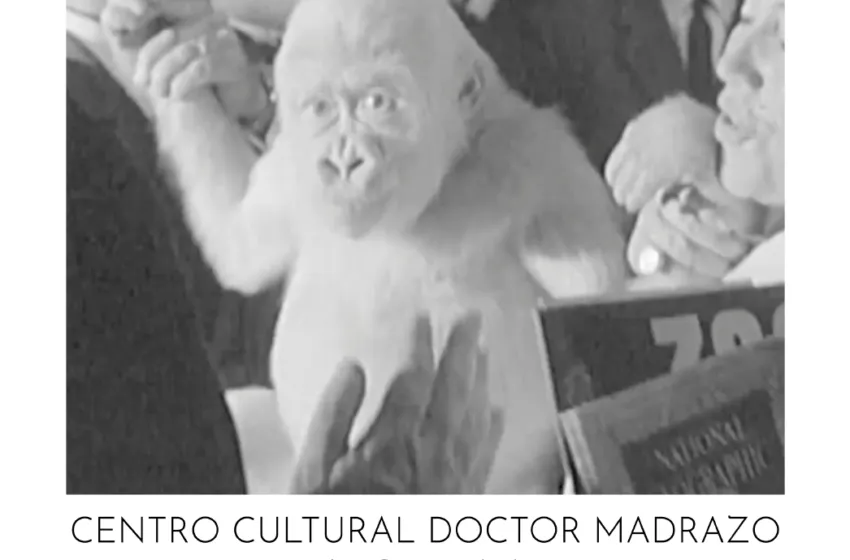  El centro cultural Doctor Madrazo acoge la V Muestra Internacional de Cine y Ciencia