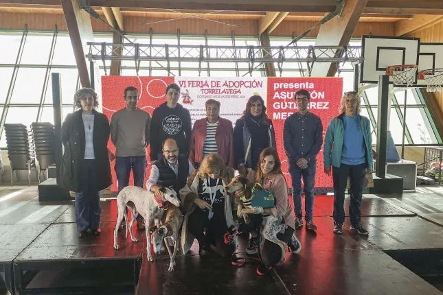 Noticias de Cantabria | El Cántabro | La VI Feria de la Adopción Responsable da visibilidad a perros y gatos que buscan un hogar