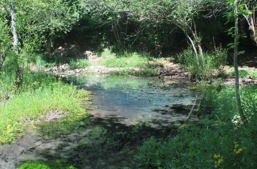  El cambio global amenaza los manantiales mediterráneos, según una investigación en la que participa IHCantabria